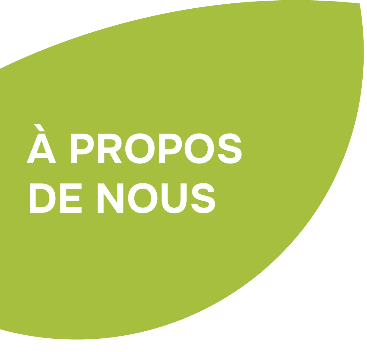 feuille à propos de nous